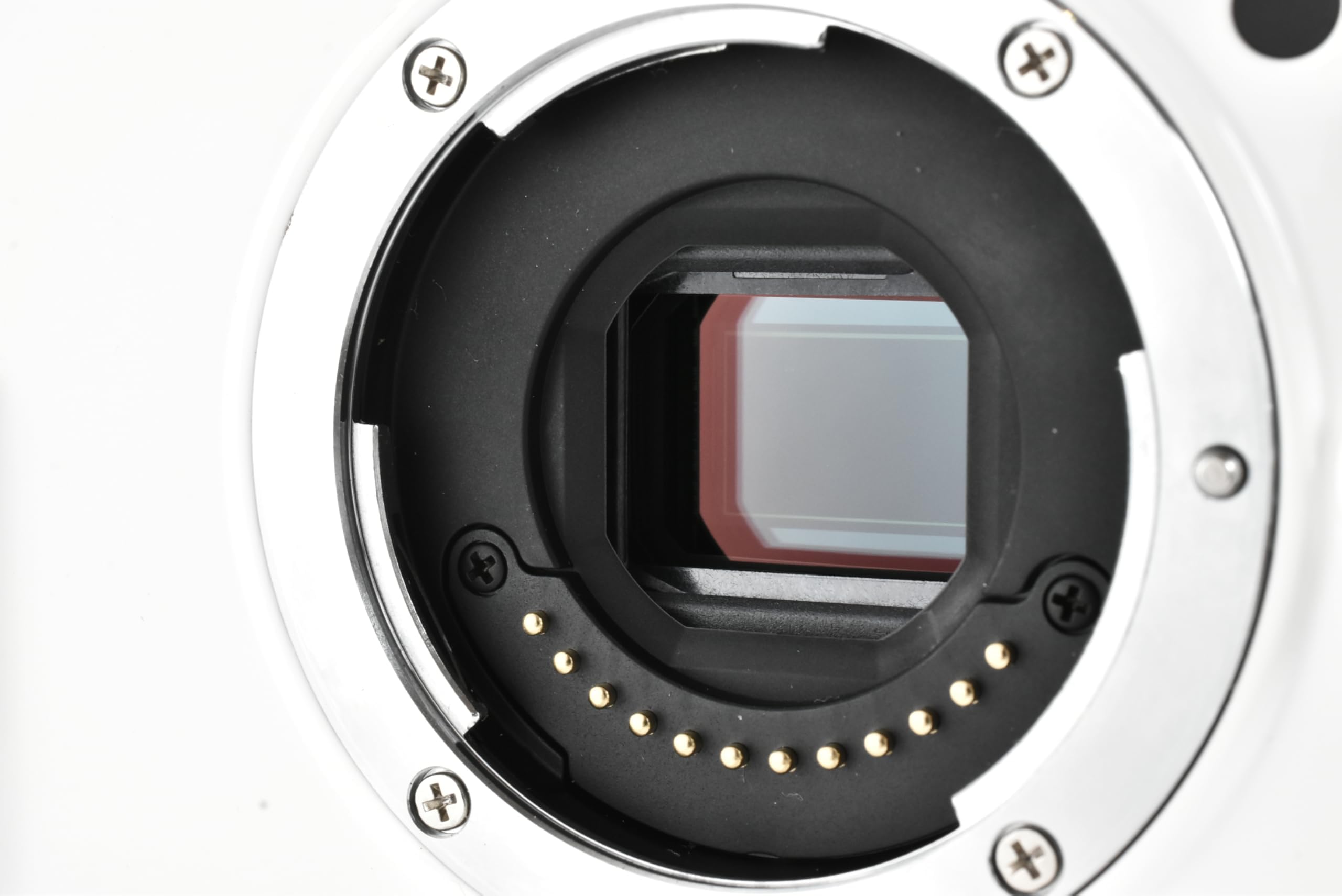 Amazon.com : Nikon 1 V1 10.1 MP Digital Camera - White (Body Only